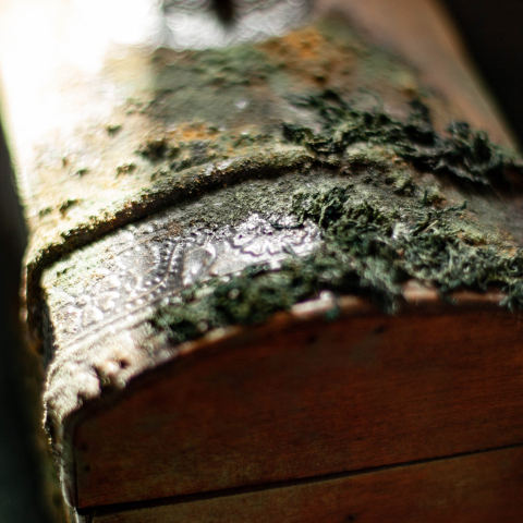 Онлайн-школа Кристины Елизаровой «ДЕКОРАТОРСКОЕ ИСКУССТВО»‎