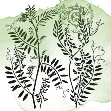 Трафарет - Мышиный горошек